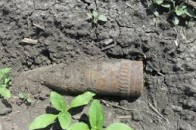 Пенсіонерка з Волині виявила небезпечну знахідку