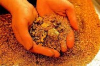 На Волині золота лихоманка: з помешкання краянки зникли золоті прикраси