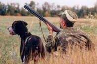 На Волині 8-ро мисливців притягнули до відповідальності