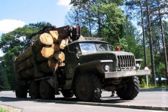 На Волині затримали розкрадачів лісу