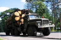 На Волині затримали розкрадачів лісу