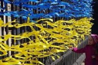 Волинь «накрила» хвиля патріотизму