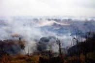 На Волині горіли торфовища