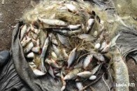 На Шацьких озерах спіймали браконьєрів
