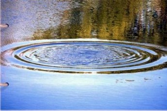 У водосховищі на Волині втопилася жінка