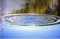 У водосховищі на Волині втопилася жінка