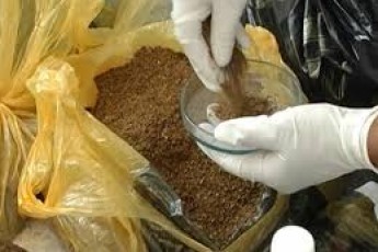 У двох волинян вилучили більше трьох кілограм наркотичного дурману