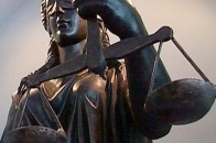 На Волині під виглядом дров вивозили за кордон промислову деревину