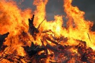 На Волині у пожежі згоріло 30 тонн жита