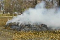 Щоб лучани не спалювали опале листя, у місті патрулюватимуть дружинники