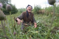 На Волині комунальники порадили старенькій бабусі самій косити траву