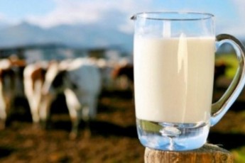 На Волині необґрунтовано занижують закупівельні ціни на молоко