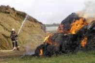 На Волині 5-річний хлопчик підпалив сіно