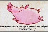 Сміття наступає: як волиняни самі перетворюють свій край у сміттєзвалище