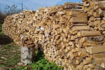 Майже 300 родин мобілізованих з Волині забезпечили дровами