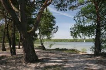 На волинському курорті депутат хотів незаконно «наділити» своїх дітей землею