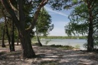 На волинському курорті депутат хотів незаконно «наділити» своїх дітей землею