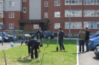 Що ремонтують у Луцьку