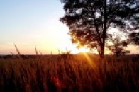 Як на Волині «лікуються» від війни ВІДЕО