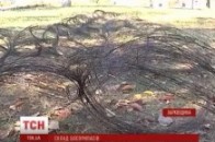 Із зони АТО почали вивозити міни і вибухівки ВІДЕО