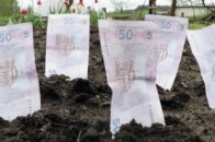 На Волині з недобросовісного орендаря стягнули понад 10 тисяч боргу
