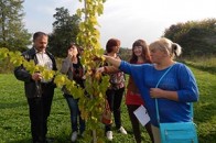 Як волинські господарники вирощуватимуть екопродукти