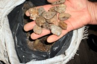 За незаконний видобуток бурштину - штраф