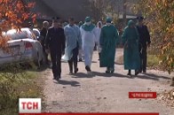 Африканська чума паралізувала звичне життя людей ВІДЕО