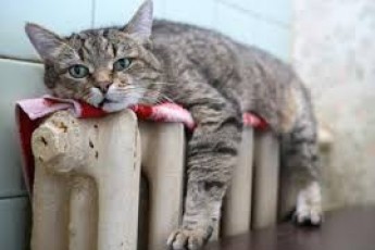 У яких закладах Волині опалювальний сезон розпочнеться раніше