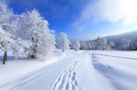 Луцькі комунальники звітують про готовність до зими