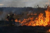 На Волині горіло торфовище