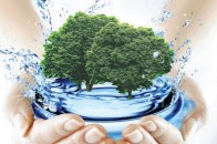 Волинське підприємство незаконно користувалося водою