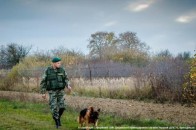 Із Білорусі нелегал йшов на Волинь із GPS-навігатором