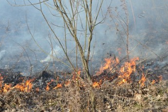 Пожежа на полі ледь не обернулася трагедією для волинського міста
