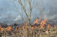 Пожежа на полі ледь не обернулася трагедією для волинського міста