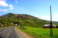 Ремонт однієї ділянки волинської дороги віддали двом компаніям
