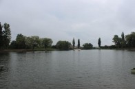 У луцький ставок запустять рибу