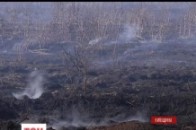 Через пожежу торф'яників біля Києва почали вибухати снаряди ВІДЕО