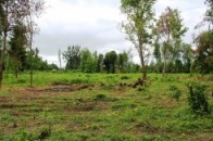 Через халатність чиновників волиняни не можуть отримати паї