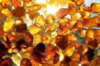 Волинянин незаконно видобував корисні копалини