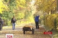 На Бахмутці відновилися бойові дії ВІДЕО