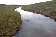 На Волині за гроші ЄС будуть чистити меліоративні канали