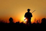 На Волині мисливські угіддя планують повернути державі