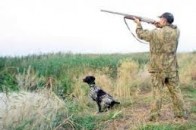 На Волині - «хаос» з мисливськими угіддями