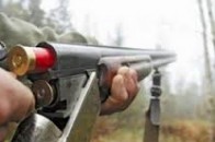 Мисливський сезон на Волині: кому цьогоріч він не «світить»