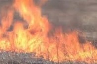 Біля Луцька горіло 4 гектари поля