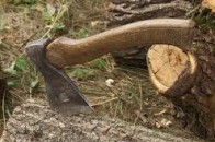 На Волині затримали підпільних лісорубів