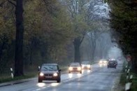 ДАІ просить водіїв у неділю включити ближнє світло фар