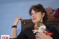 Як на Волині «полюють» на біженців люті «бандерівці» ВІДЕО