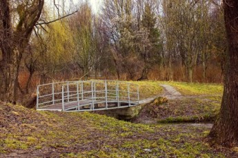 У Луцьку незаконно роздавали паркові землі